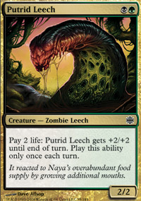 Putrid Leech