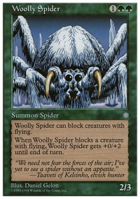 Woolly Spider