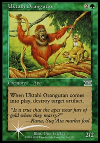 Uktabi Orangutan