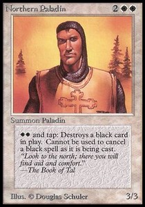 Northern Paladin