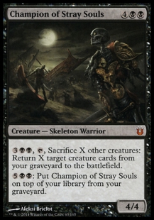 Champion of Stray Souls