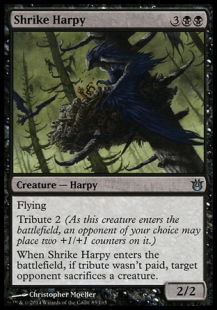 Shrike Harpy