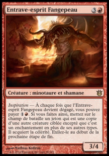 Felhide Spiritbinder