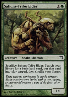 Sakura-Tribe Elder