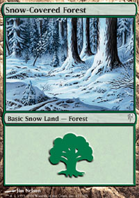 Snow-Covered Forest