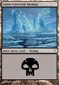 Snow-Covered Swamp