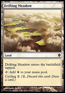 Drifting Meadow