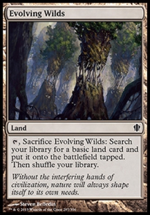 Evolving Wilds