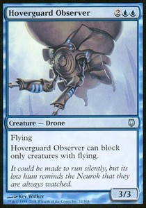 Hoverguard Observer