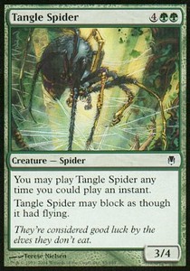 Tangle Spider