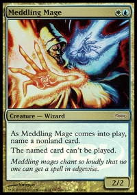 Meddling Mage