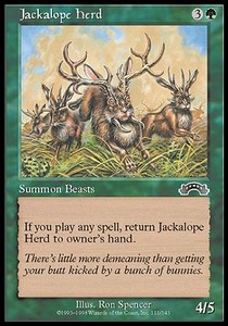 Jackalope Herd