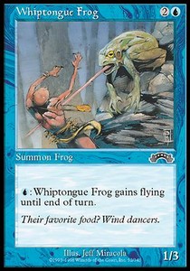 Whiptongue Frog Whiptongue Frog