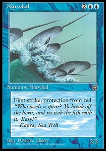 Narwhal