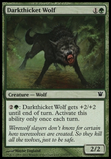 Darkthicket Wolf