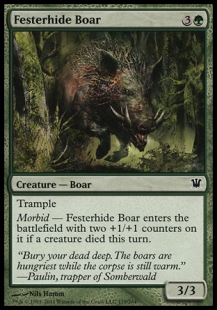 Festerhide Boar