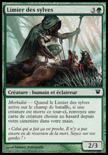Woodland Sleuth