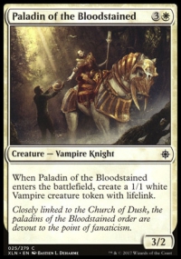 Paladin of the Bloodstained