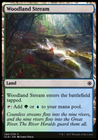 Woodland Stream