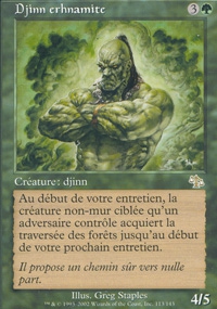 Erhnam Djinn