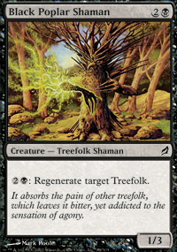 Black Poplar Shaman