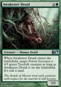 Awakener Druid