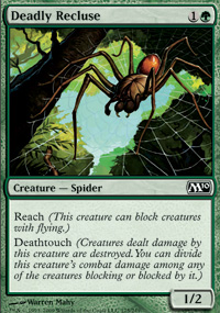 Deadly Recluse