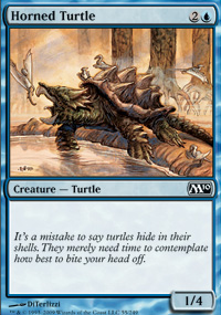 Horned Turtle
