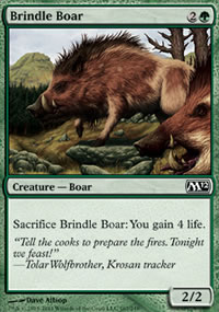 Brindle Boar