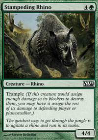 Stampeding Rhino