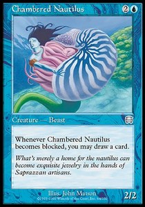 Chambered Nautilus