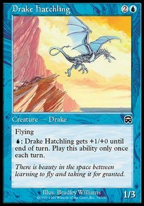 Drake Hatchling