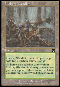 Hickory Woodlot