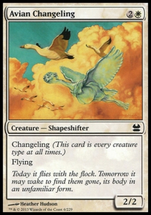 Avian Changeling