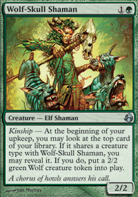 Wolf-Skull Shaman