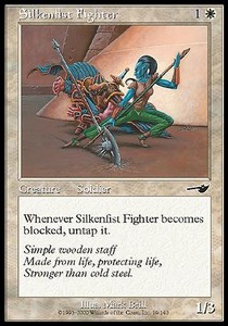 Silkenfist Fighter