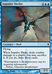 Impaler Shrike