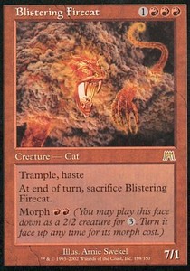 Blistering Firecat