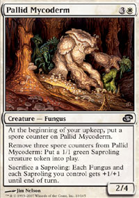 Pallid Mycoderm