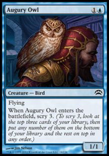 Augury Owl