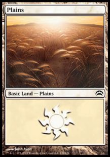 Plains