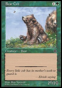 Bear Cub