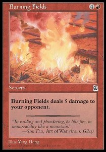 Burning Fields