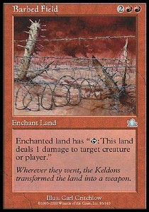 Barbed Field