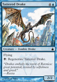 Tattered Drake