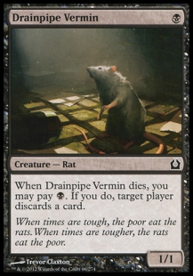 Drainpipe Vermin