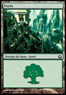 Forest