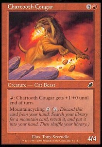 Chartooth Cougar