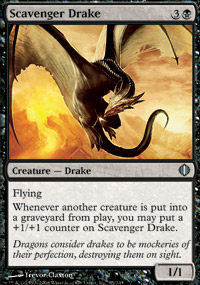 Scavenger Drake