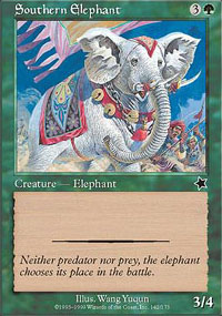 Southern Elephant